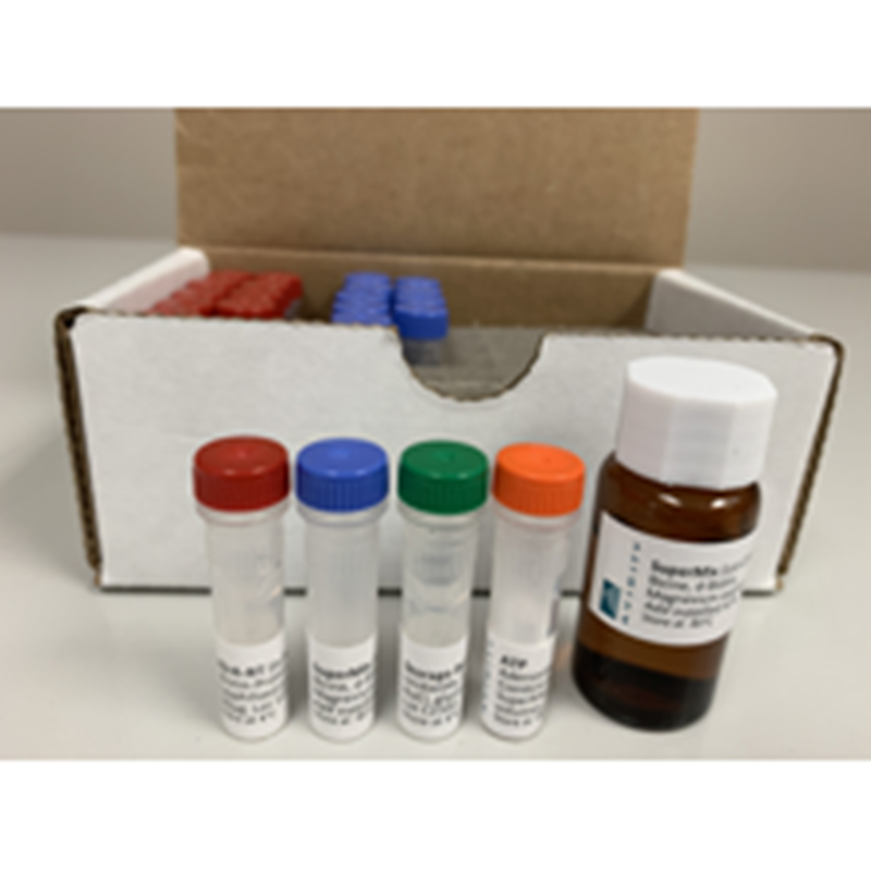 Bulk BirA Biotin-Protein Ligase RT – 冻干版本，可在室温下运输